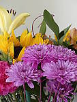Click to see Y_1030717-ISO-800.JPG