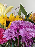 Click to see Y_1030718-ISO-1600.JPG