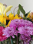 Click to see Y_1030720-ISO-6400.JPG