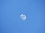 Click to see Y_1030924-FocalComp-600mm.JPG