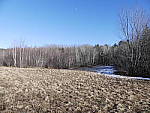 Click to see Y_1030926-25mm-2.8.JPG