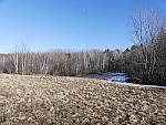 Click to see Y_1030927-25mm-4.0.JPG