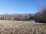 Click to see Y_1030928-25mm-5.6.JPG