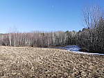 Click to see Y_1030929-25mm-8.0.JPG