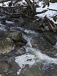 Click to see Y_1040046-Flash.JPG