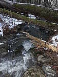 Click to see Y_1040048-Flash.JPG