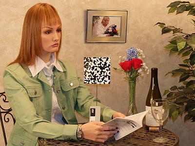 Click to see FZ300INBFP3.JPG