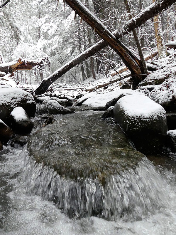 Panasonic FZ300 Field Test -- Gallery Image