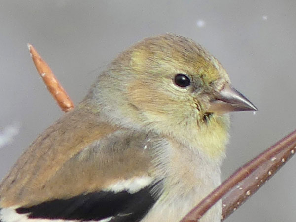 Panasonic FZ300 Field Test -- Gallery Image
