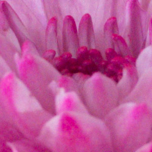 Panasonic FZ300 Field Test -- Noise Test Image