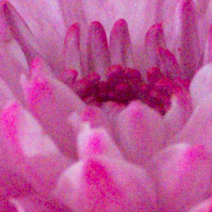 Panasonic FZ300 Field Test -- Noise Test Image