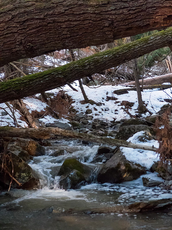 Panasonic FZ300 Field Test -- Gallery Image