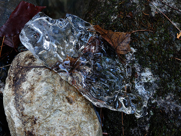 Panasonic FZ300 Field Test -- Gallery Image