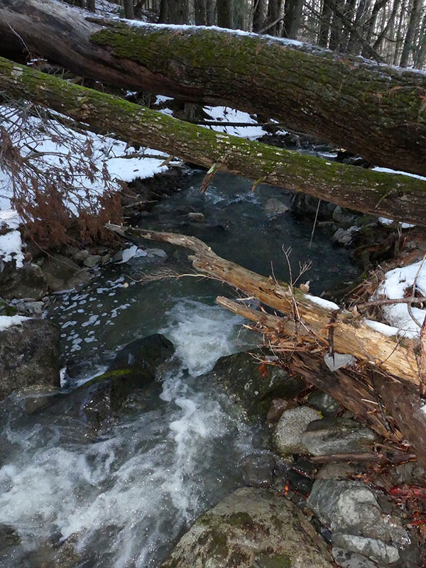 Panasonic FZ300 Field Test -- Gallery Image