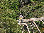 Click to see Y-FZ70-3-TRP-TELE.JPG
