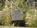 Click to see Y-FZ70-P1010542-HH-WithIS.JPG