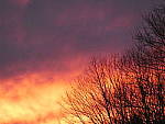 Click to see YP1000370.JPG
