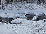 Click to see YP1000575.JPG