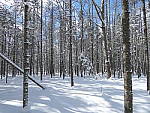 Click to see YP1000588.JPG