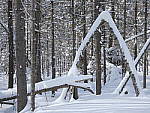 Click to see YP1000592.JPG