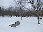 Click to see YP1000661-20mm-f2.8.JPG