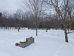 Click to see YP1000663-20mm-f5.6.JPG