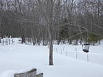 Click to see YP1000665-50mm-f3.9.JPG
