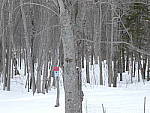 Click to see YP1000667-200mm-f5.5.JPG