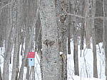 Click to see YP1000668-400mm-f5.6.JPG