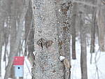 Click to see YP1000669-600mm-f5.6.JPG