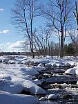 Click to see YP1010044.JPG