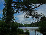 Click to see Y-DP-0001-EDT.JPG