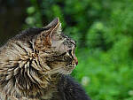 Click to see Y-DP-0026-EDT.JPG