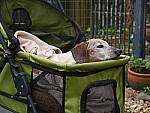 Click to see Y-DP-0045-EDT.JPG