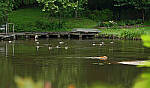Click to see Y-DP-0148-EDT.JPG