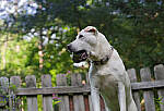 Click to see Y-DP-0213-EDT.JPG