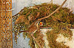 Click to see Y-DP-0329-EDT.JPG