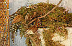 Click to see Y-DP-0330-EDT.JPG