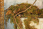 Click to see Y-DP-0334-EDT.JPG