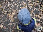 Click to see YP1040675.JPG