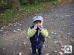Click to see YP1040678.JPG