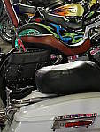 Click to see YP1030225.JPG