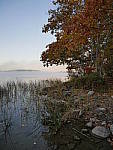 Click to see Y_1010352.JPG