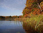 Click to see Y_1010377.JPG