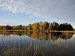 Click to see Y_1010390.JPG