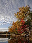 Click to see Y_1010396.JPG
