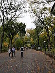 Click to see Y_1010512.JPG