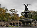 Click to see Y_1010518.JPG