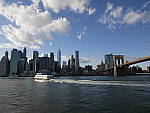 Click to see Y_1010549.JPG