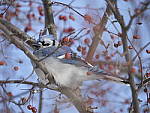 Click to see Y-1050210-AUTOFOCUS.JPG